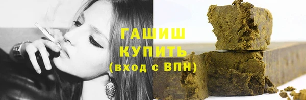 гидра Горняк
