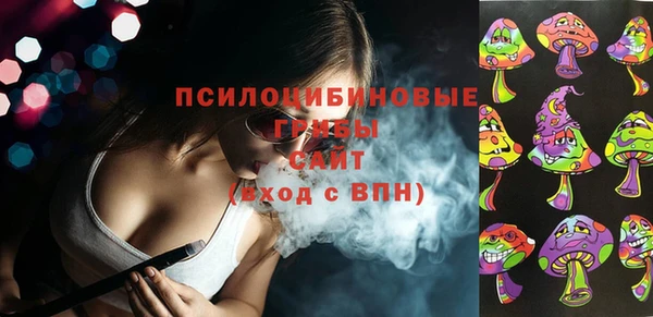 альфа пвп Гусев