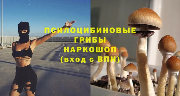 альфа пвп Гусев