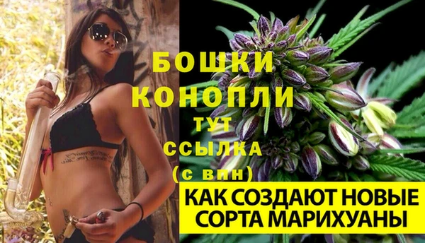 альфа пвп Гусев